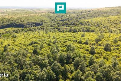 Teren de 22900 mp, în Central - 6
