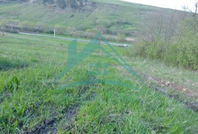 Teren Construcții intravilan de 4200 mp, în Gârbău - 4