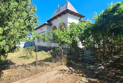 Casă cu 7 camere cu Teren 2424 Mp în Coteana - 7