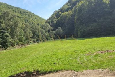 Teren Construcții de 1000 mp, în Valea Ierii - 1