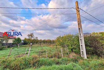 Teren Construcții intravilan de 3207 mp, în Bascov - 8