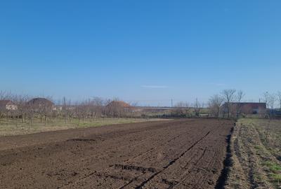 Casă cu 4 camere în Grăniceri
