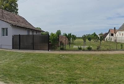 Casă cu 3 camere cu Teren 3500 Mp în Satu Mare - 5