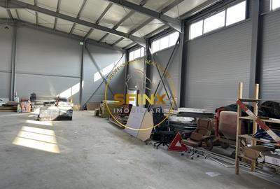 Spațiu industrial, de 566.40002441406 mp, în Theodor Pallady - 3