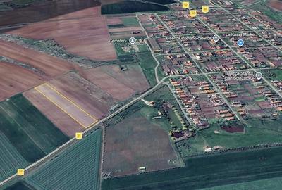Teren de 13106 mp, în Bencecu de Sus - 7