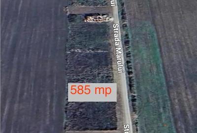 Teren de 587 mp, în Giarmata - 1