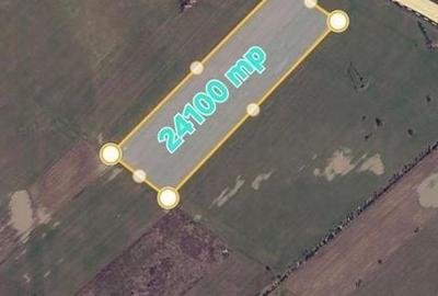 Teren de 24100 mp, în Ciorogârla