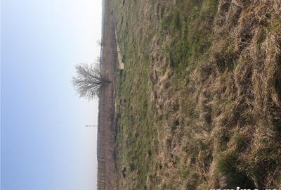 Teren de 2500 mp, în Călugăreni