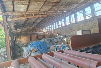 Teren de 300 mp, în Ștorobăneasa - 7