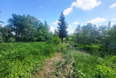 Teren Construcții intravilan de 1555 mp, în Republicii - 4