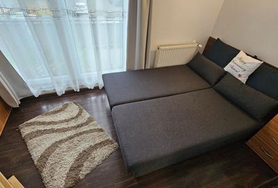 Apartament cu 2 camere semidecomandat în Dumbrăvița - 6