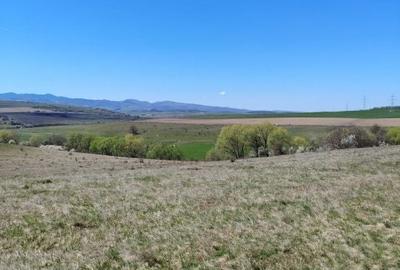 Teren de 10000 mp, în Ciurila - 1