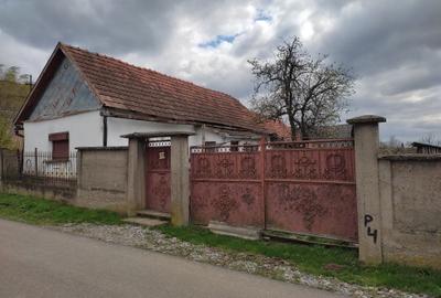 Casă cu 2 camere în Cetariu - 3