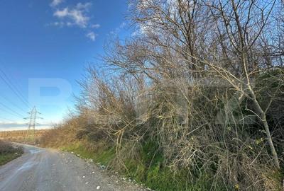 Casa batraneasca de vanzare, 48 mp, zona Patroaia Deal cu C - 9