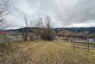 Teren de 4872 mp, în Lunca - 4