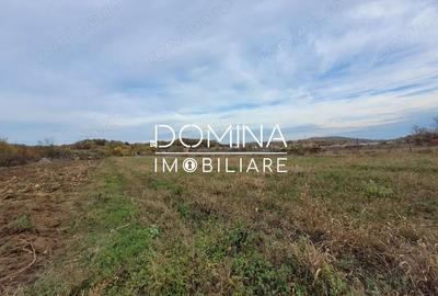 Teren de 4967 mp, în Bălești - 9