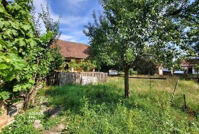 Casa cu teren de 1807 mp, Oras Lipova - 9