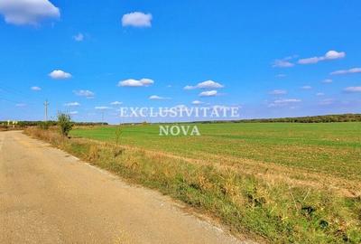 Teren 9Ha -> 16Ha Ha Intravilan , Exit A3 Snagov Ghermanesti Bucuresti-Ploiesti - 9