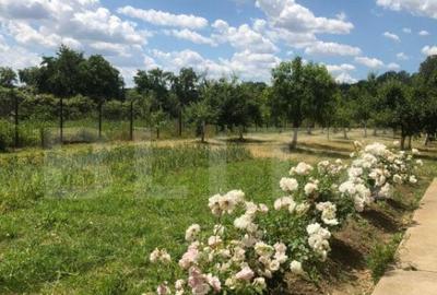 Vila 5 camere achizitie ideala pentru parinti sau familie - 11
