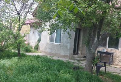 Casa cu gradina mare de inchiriat - 2