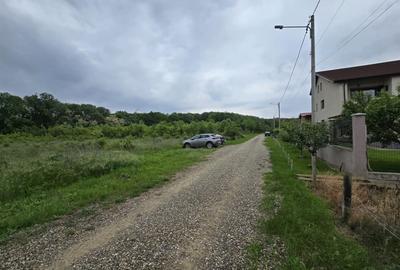 Teren intravilan Balotesti 9782mp 96ml deschidere langa padure - 4