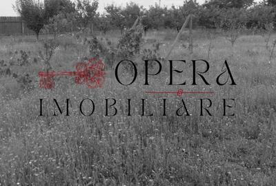 Oportunitate! Teren intravilan, 678 m.p., de vanzare, Letcani - Iasi - 2