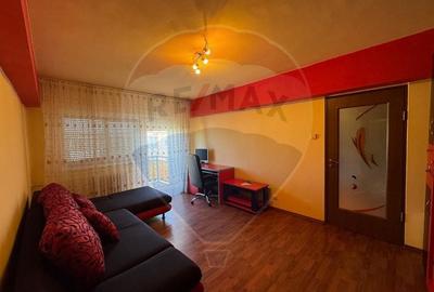 Apartament cu 2 camere semidecomandat în Miorița - 8