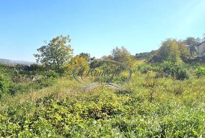 Teren intravilan cu front generos in cartierul Gruia - 2