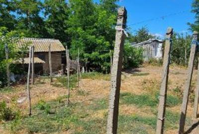 Casa la curte lângă balta Mostistea Casa la curte lângă balta Mostistea - 8