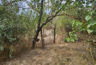 Casă cu 3 camere în Deparați - 9