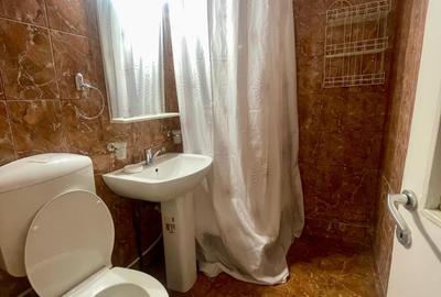 Apartament cu 3 camere decomandat în Grigorescu - 6