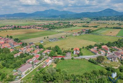Teren Construcții intravilan de 7500 mp, în Tohanu Nou