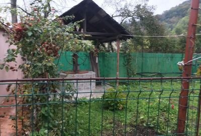 Casă cu 4 camere cu Teren 2500 Mp în Ilovăț - 1