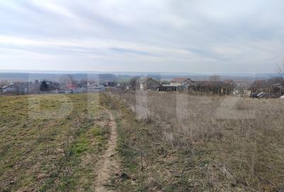 Teren Construcții intravilan de 1469 mp, în Malu Mare - 6