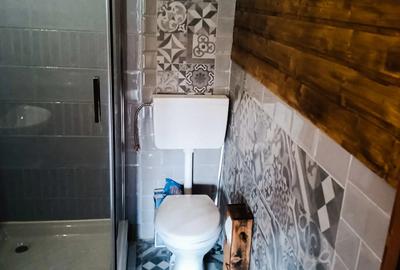 Casă în Arieșeni - 1