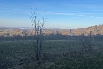 Teren de 1046 mp, în Rășinari - 1