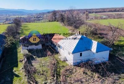 CASA traditionala BODESTII DE JOS - 2