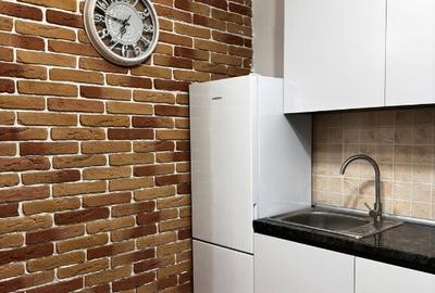 Garsoniera de inchiriat in zona Stefan cel Mare - 1