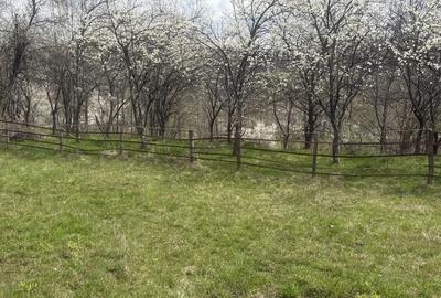 Spațiu comercial, în Vlădești - 3