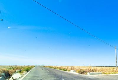 Teren Industrial 12 hectare Teiu Arges - 1