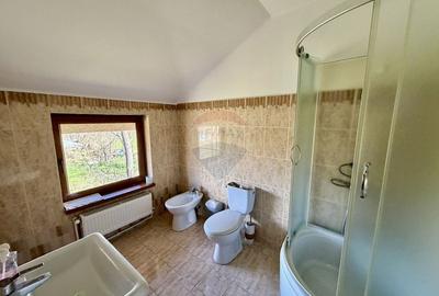 Casă cu 5 camere cu Teren 3400 Mp în Răchitosu - 19