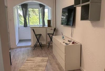 Colentina teiul doamnei metrou obor - 20