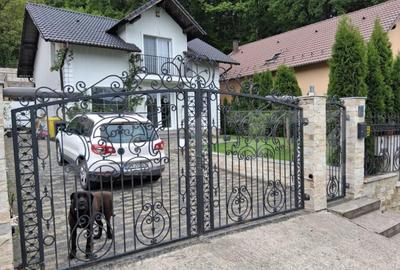 Casa P+Mansarda, 130mp Utili, 500mp Teren, Zona Valea Budacu - 2