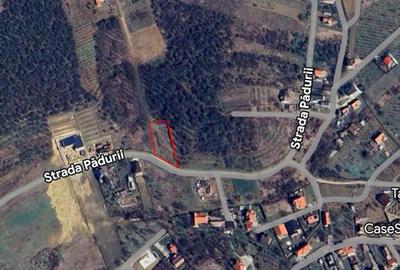 Teren de 938 mp, în Oncea