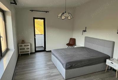 Apartament cu 3 camere decomandat, mobilat în Dezmir - 5