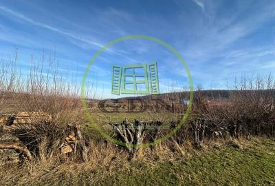 Teren intravilan 1100mp oportunitate spre vanzare in Rasinari - 2