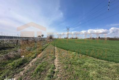 Spațiu comercial, în Valu lui Traian - 9