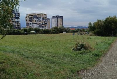 Teren intravilan 8000 mp , DR.D.Vechi - 6