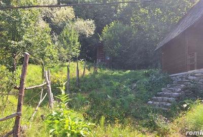 VANZARE ANSAMBLU CASUTE BRADULET ARGES - 7