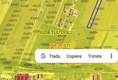 Teren de 14000 mp, în Pielești - 1